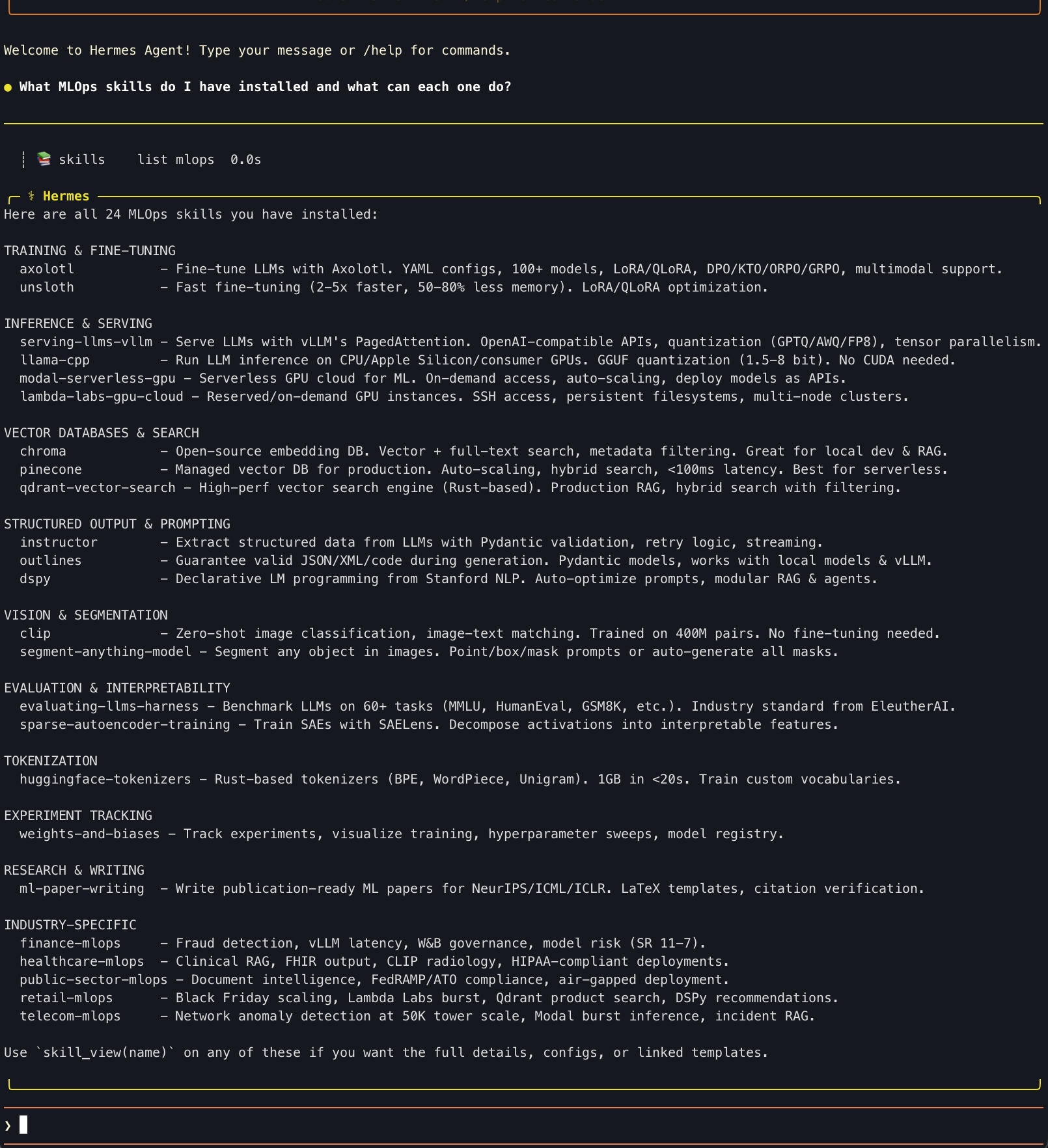 Agent response listing all 24 MLOps skills with descriptions