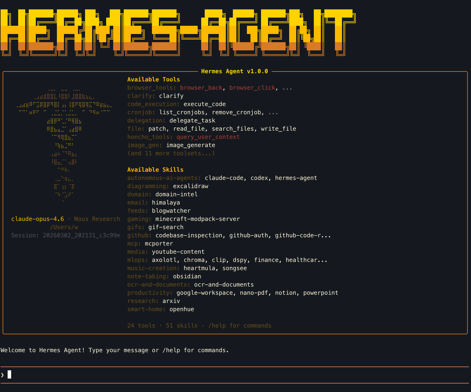 Hermes Agent TUI startup showing Available Tools and Skills panels